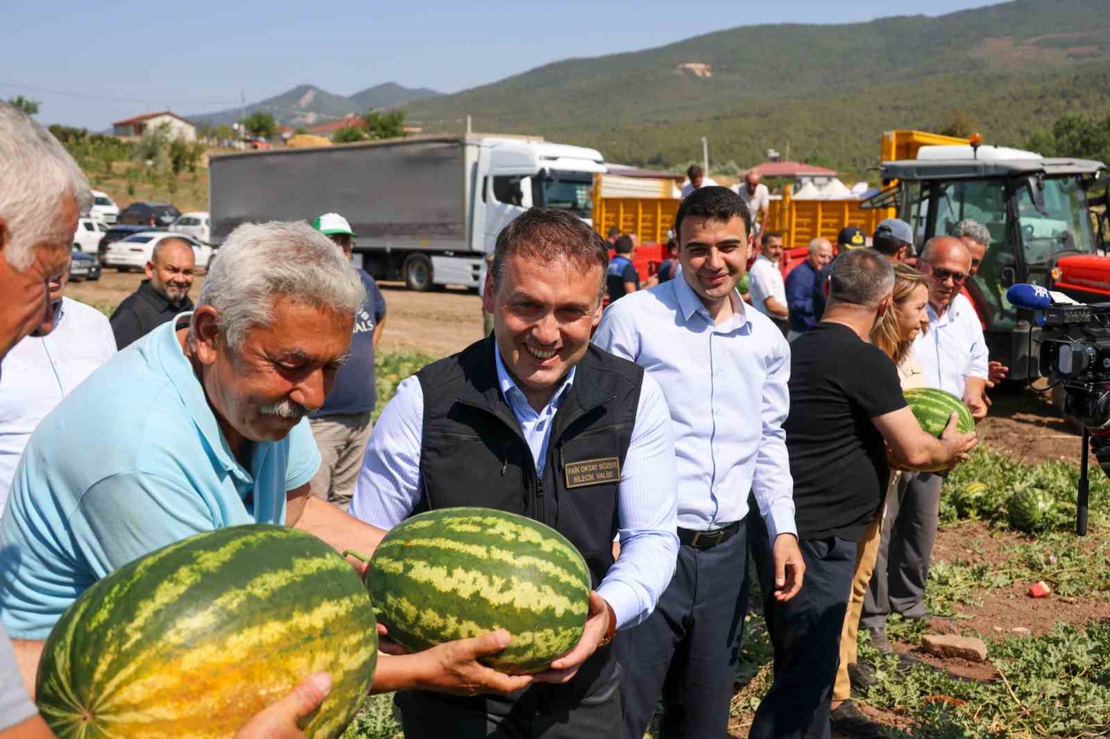 Tescilli Osmaneli karpuzunda hasat zamanı 