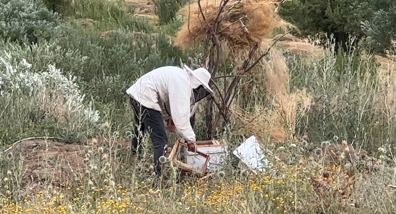 Cilo Dağı eteklerinde bal üretimi 