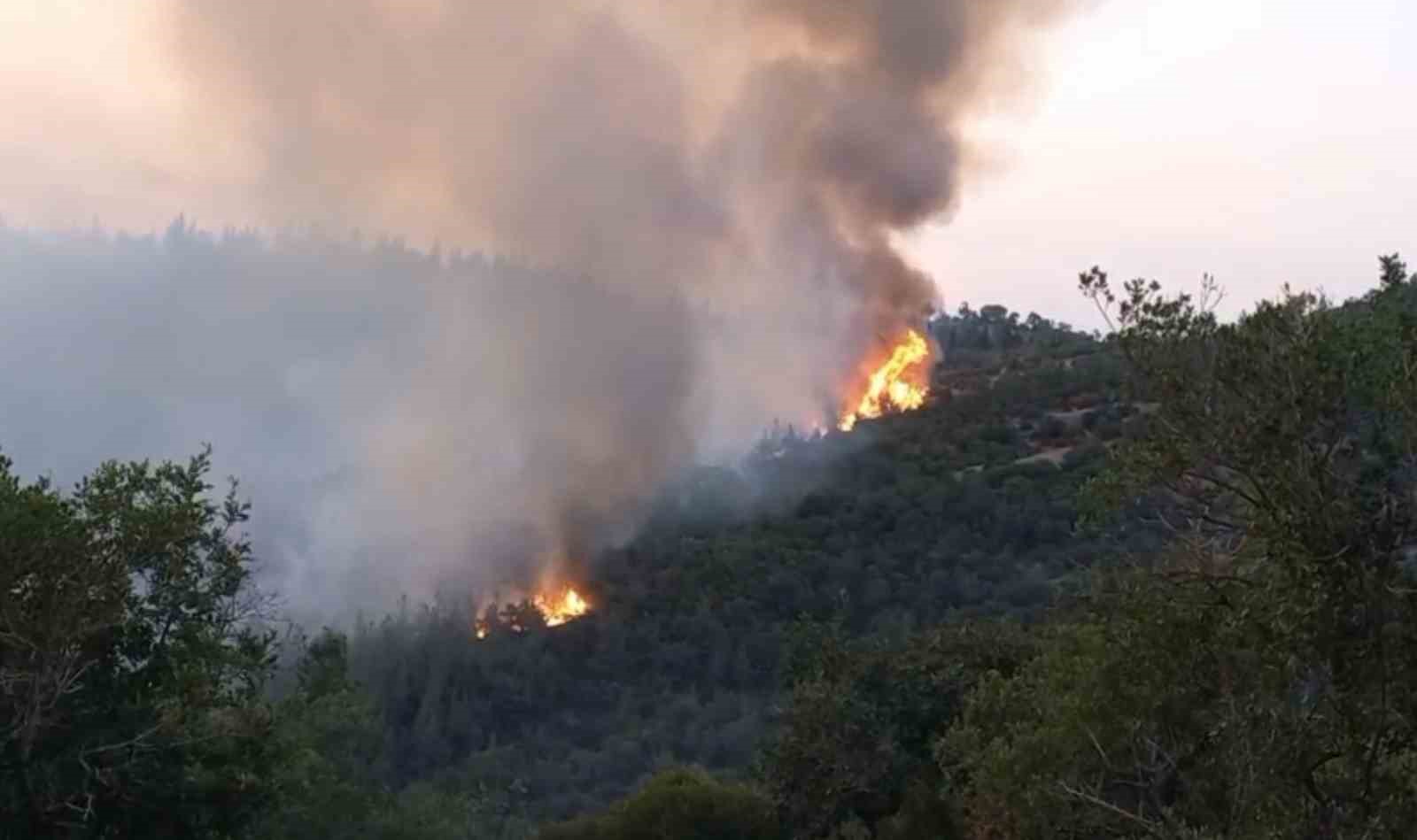 Altıeylül’deki orman yangınına müdahale sürüyor 