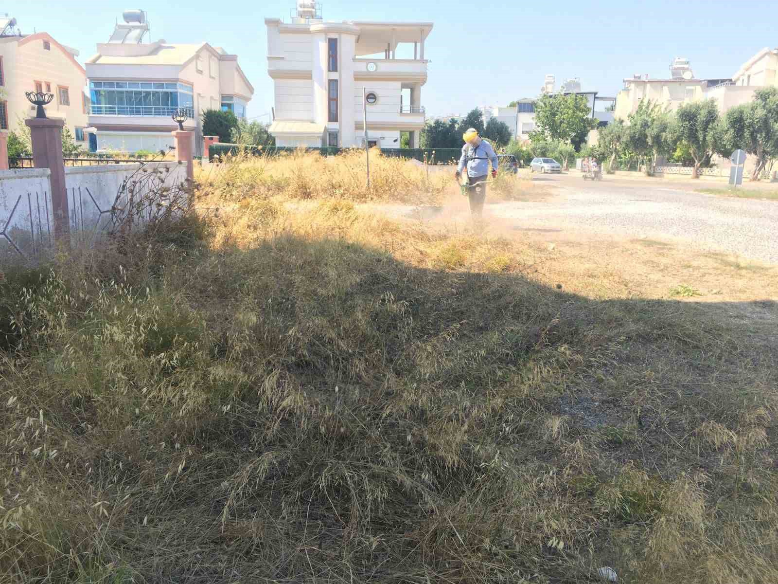 Didim genelinde temizlik ve yeşil alan bakımları yaz boyunca devam edecek 