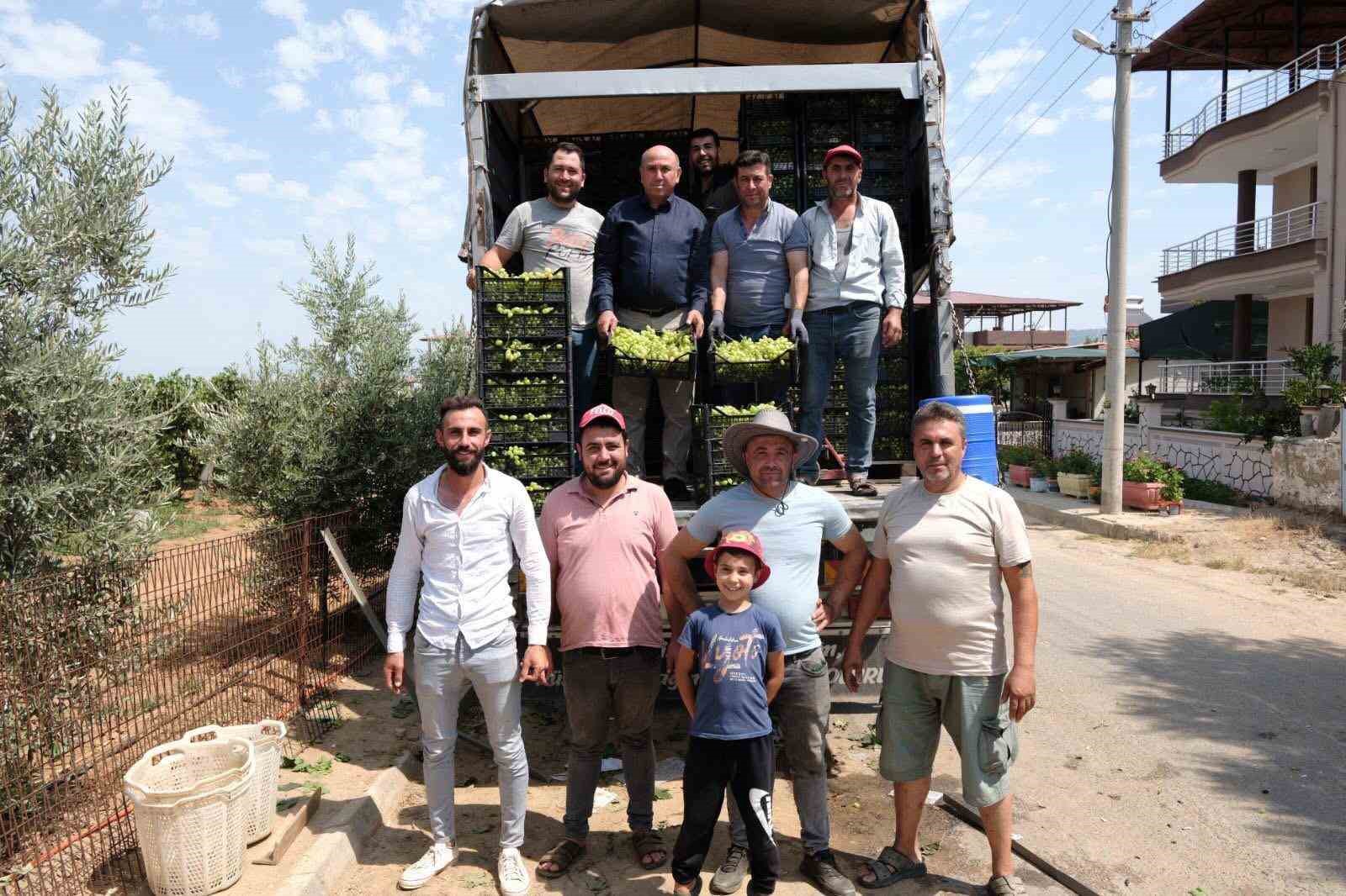 Bağlarda üzüm sezonu heyecanı başladı 