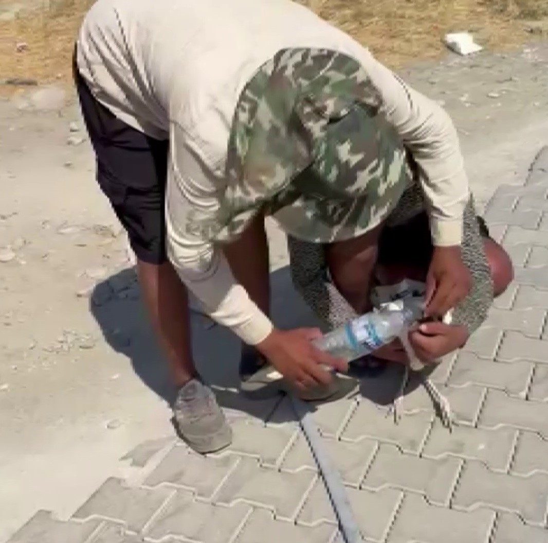 Adıyaman’da sıcaktan bayılan leyleği köylüler kurtardı 