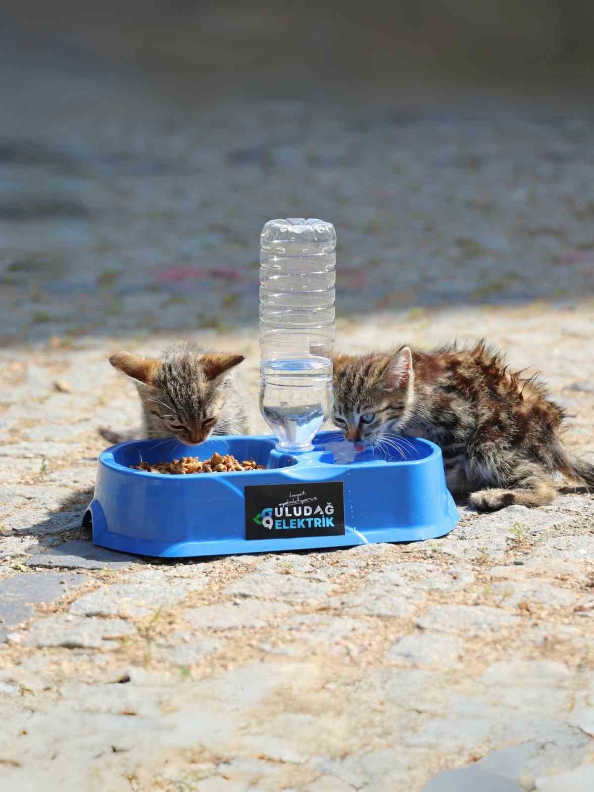 Sıcak yaz günlerinde can dostlara destek 