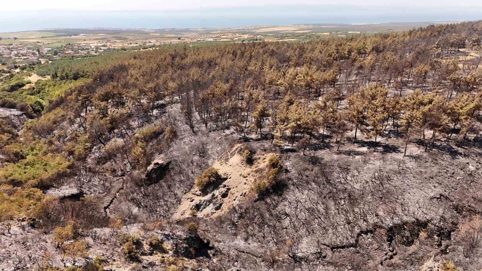 Tekirdağ’da yanan ormanlık alanlar havadan görüntülendi 