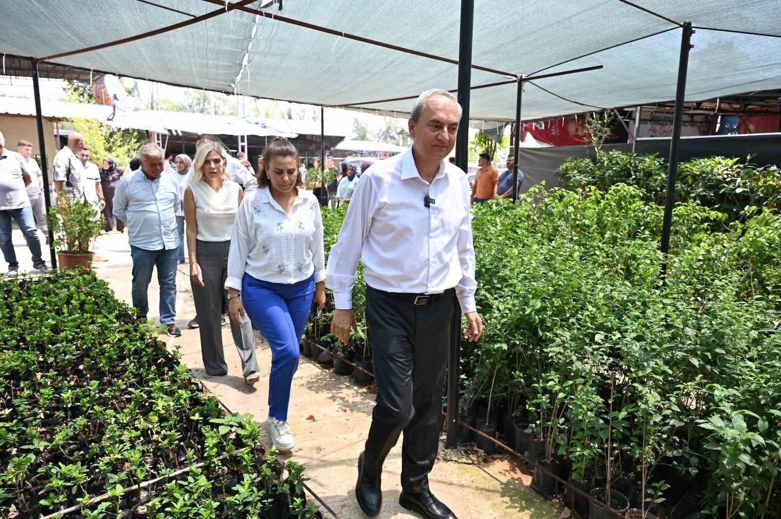 Kocagöz: 