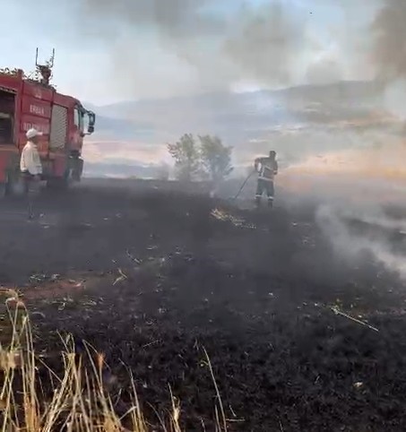 Tokat’ta ekili arazide çıkan yangına müdahale ediliyor 
