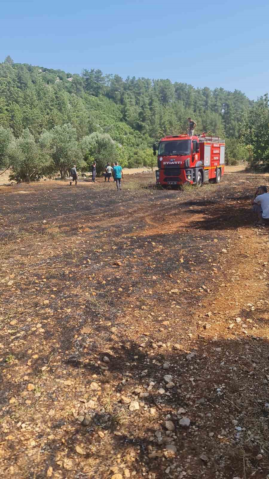 Bucak’ta çıkan arazi yangınında 1 dönüm alan yandı 
