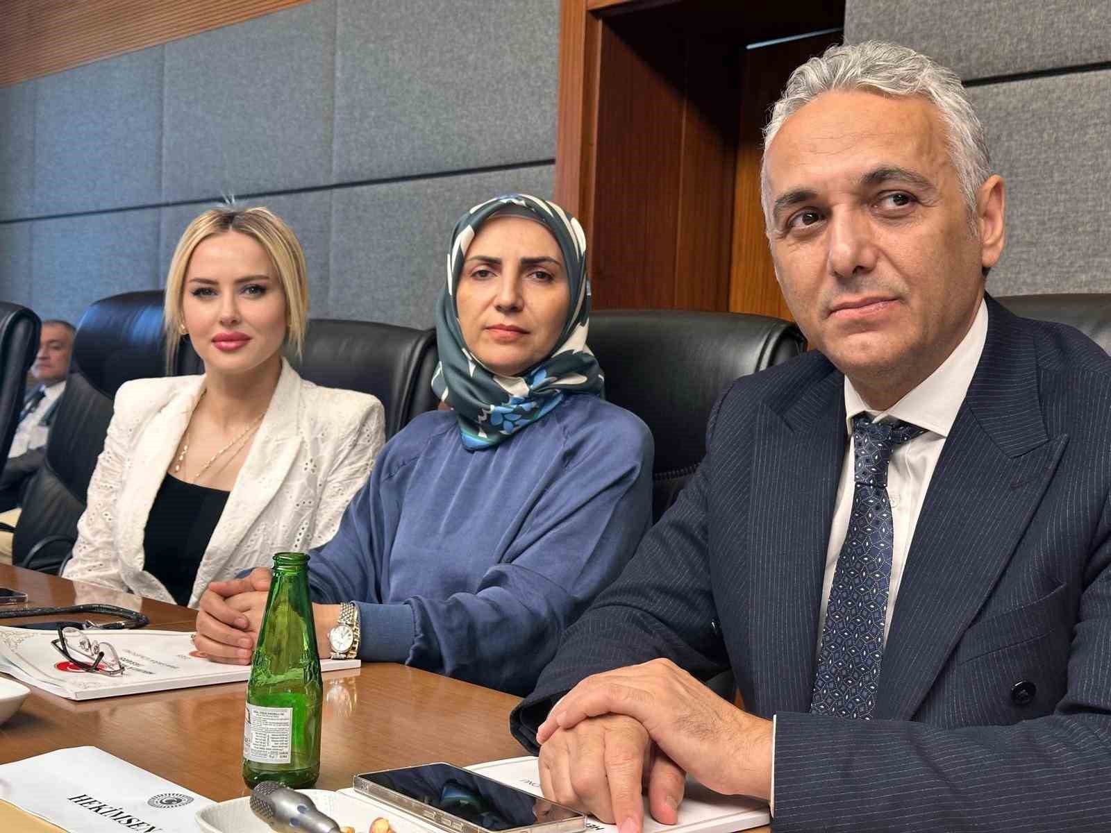 ‘Sigma formülü yönetmeliği’ Anayasa Mahkemesi gündeminde 