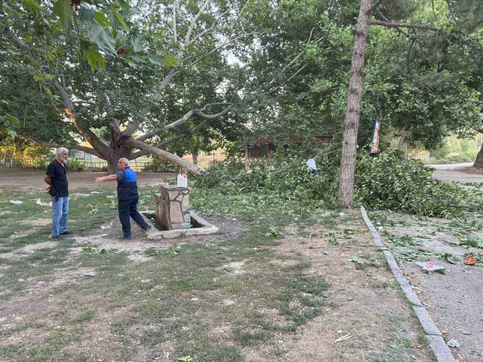 Piknik alanında ağacın dalı vatandaşların üzerine devrildi: 11 yaralı 
