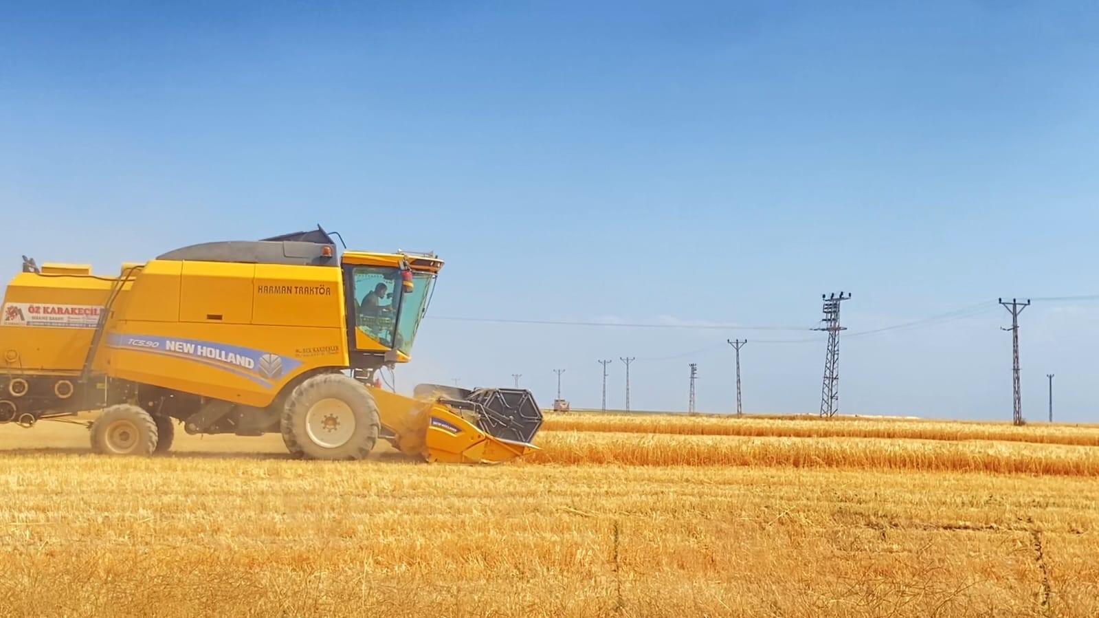 Adilcevaz’da buğday hasadı devam ediyor 