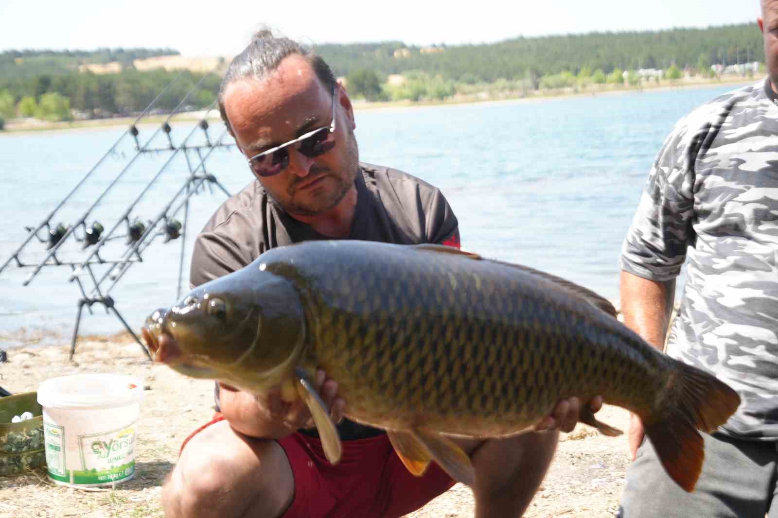 (ÖZEL) Yakalandıkları devasa sazanları yeniden suya bıraktılar 