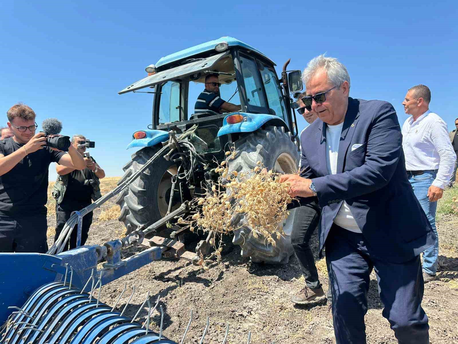 Bandırma’da nohut hasadı şenliği 