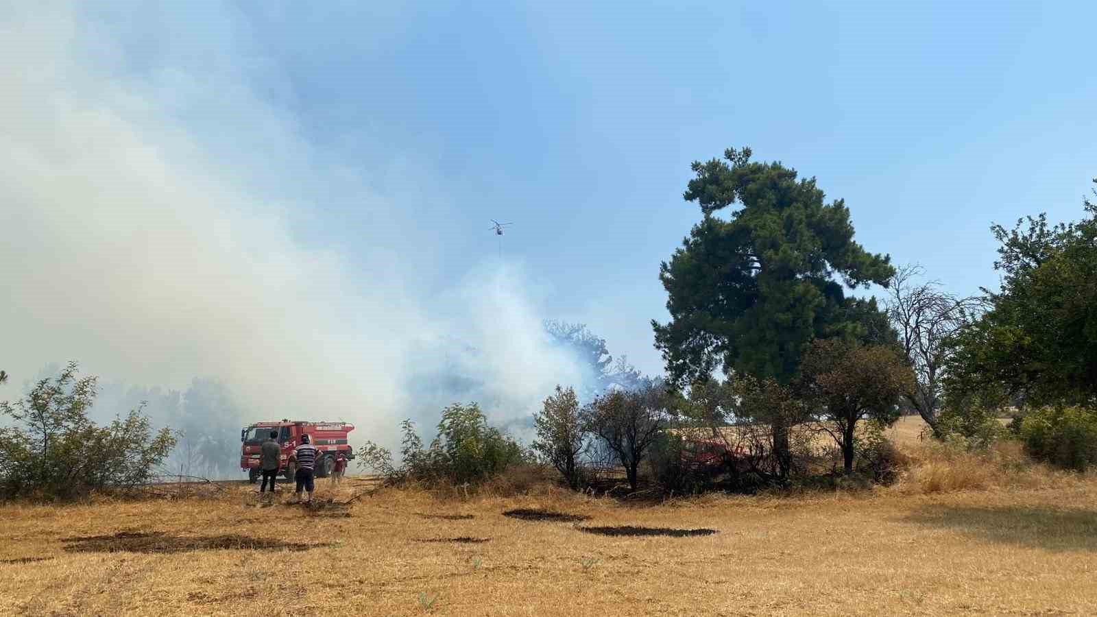 Çanakkale’de orman yangını kontrol altına alındı 