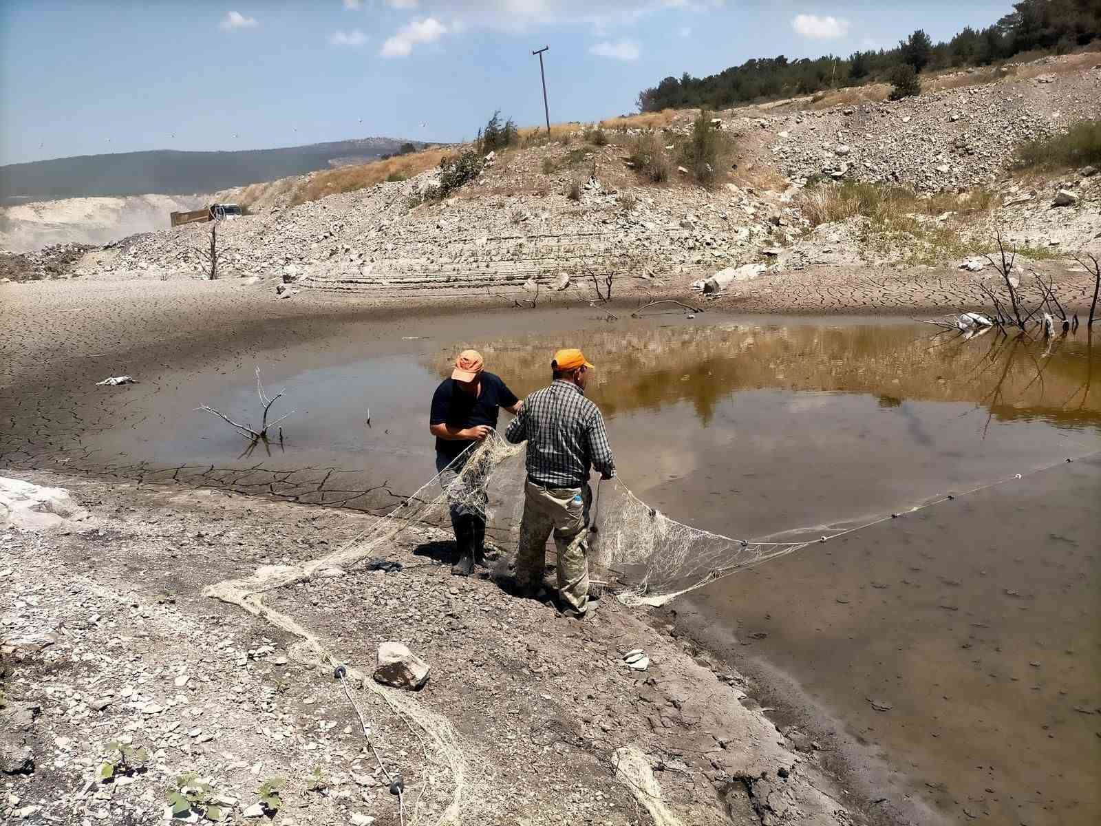 Balıklar ölmesin diye zamanla yarıştılar 