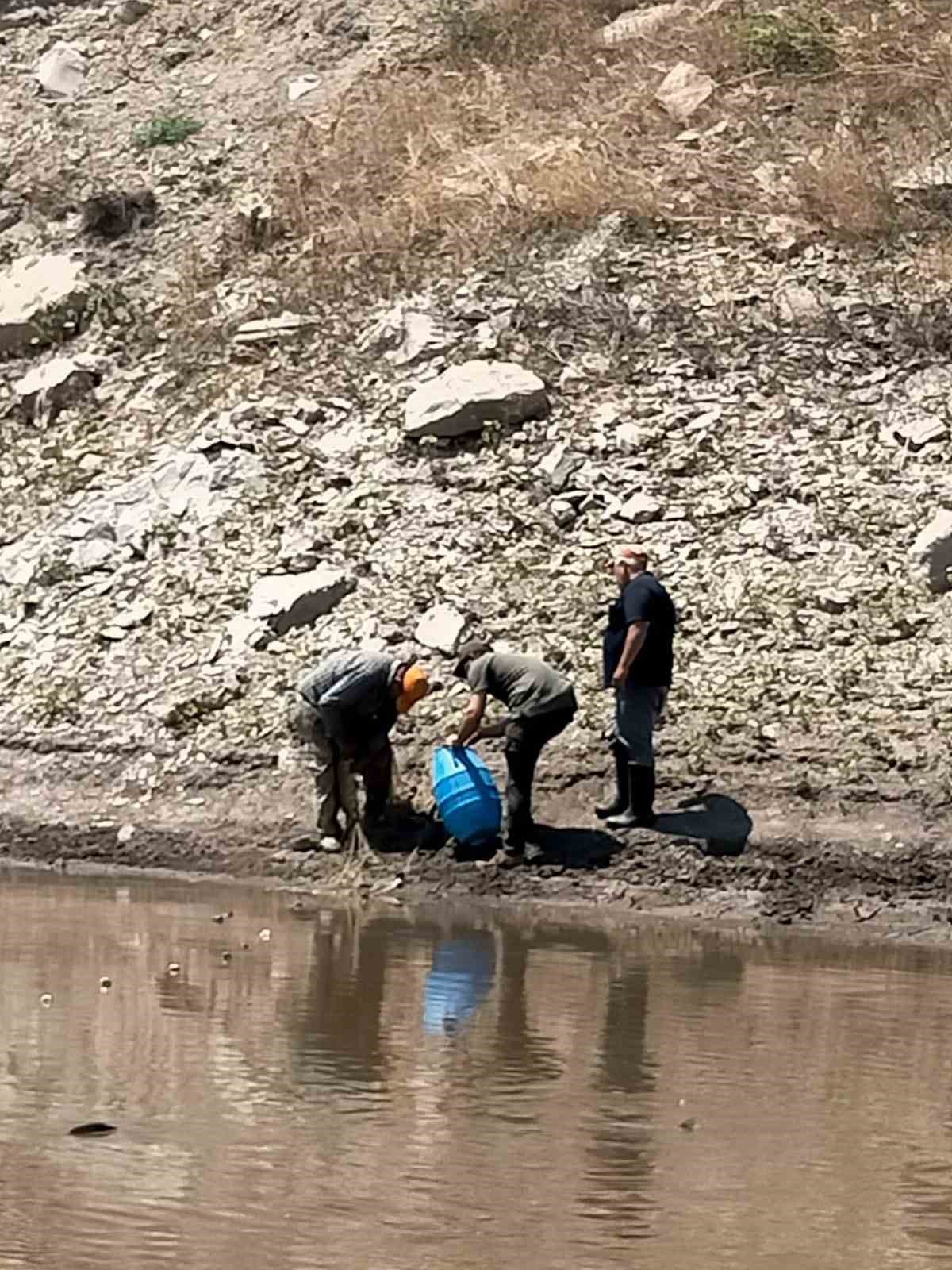 Balıklar ölmesin diye zamanla yarıştılar 