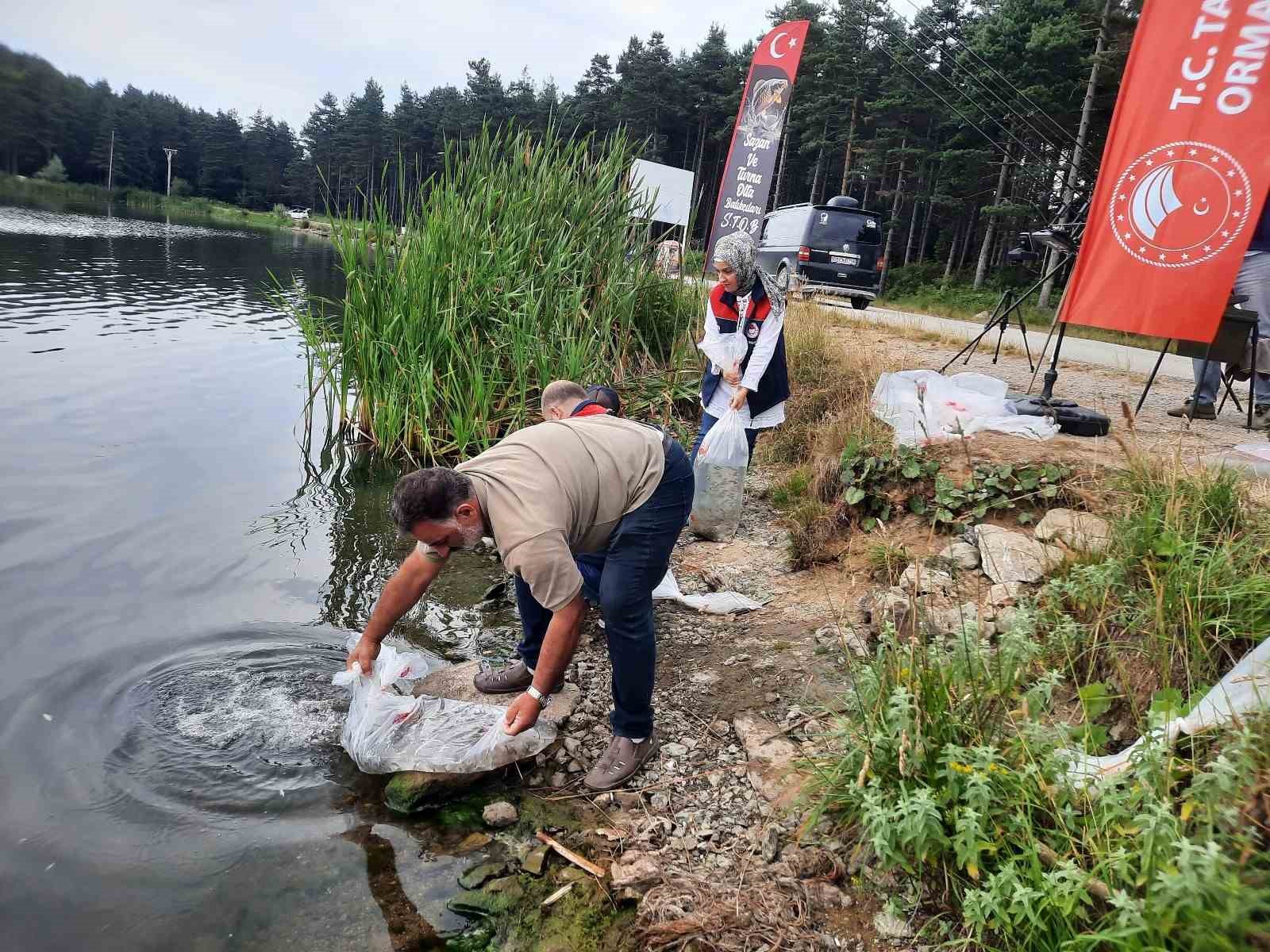 Topuk Yaylası göletine 100 bin adet pullu sazan yavrusu bırakıldı 