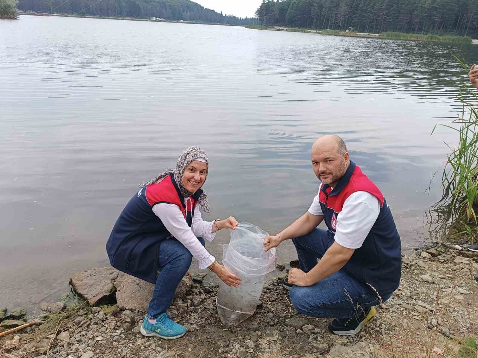 Topuk Yaylası göletine 100 bin adet pullu sazan yavrusu bırakıldı 