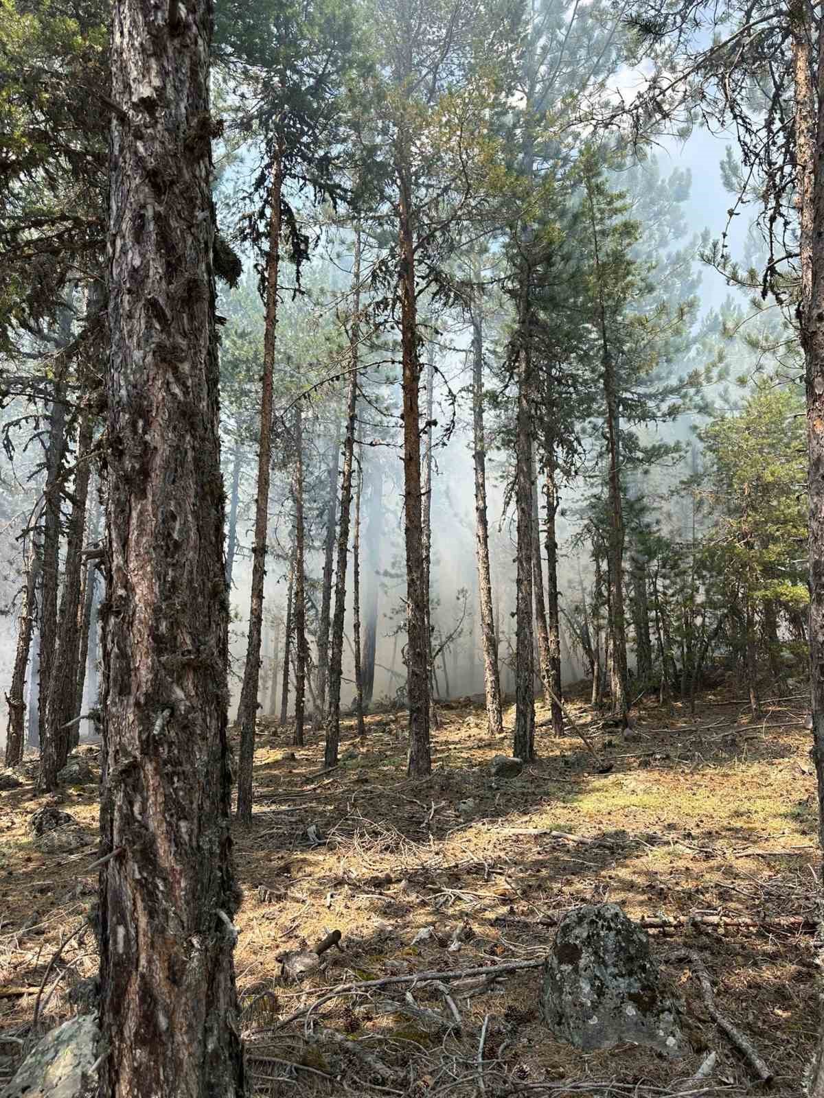 Bolu’da yıldırım kaynaklı çıkan yangınlar söndürüldü 