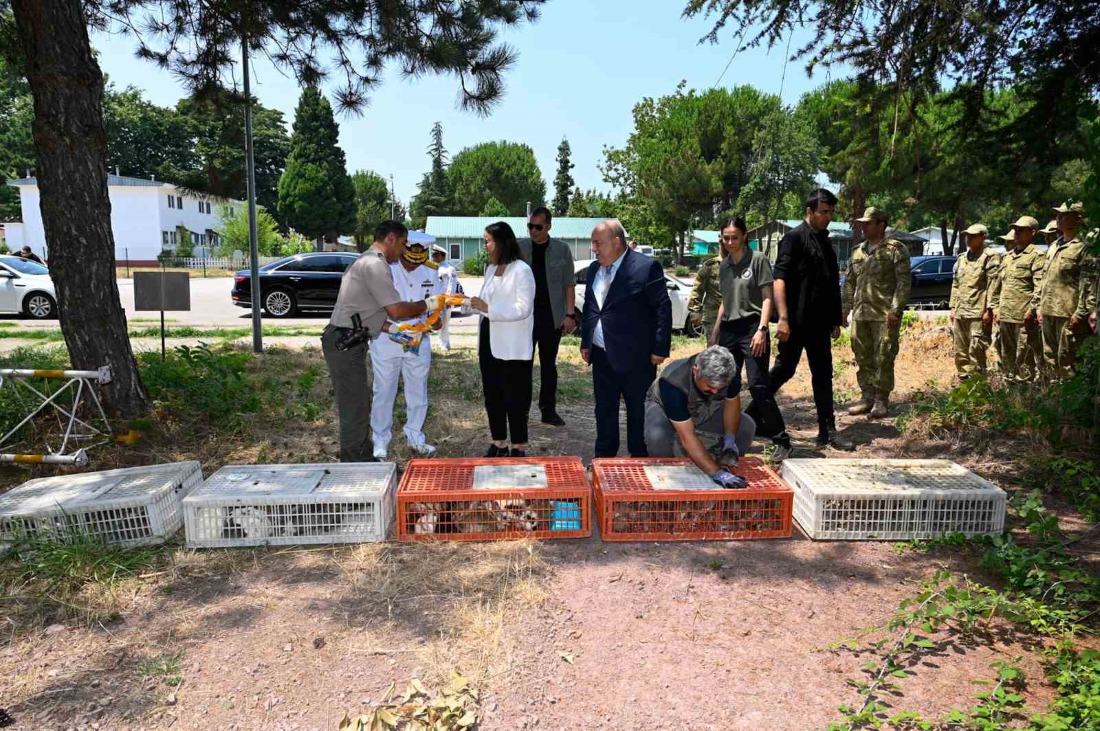 Yalova’da 300 keklik doğaya salındı 