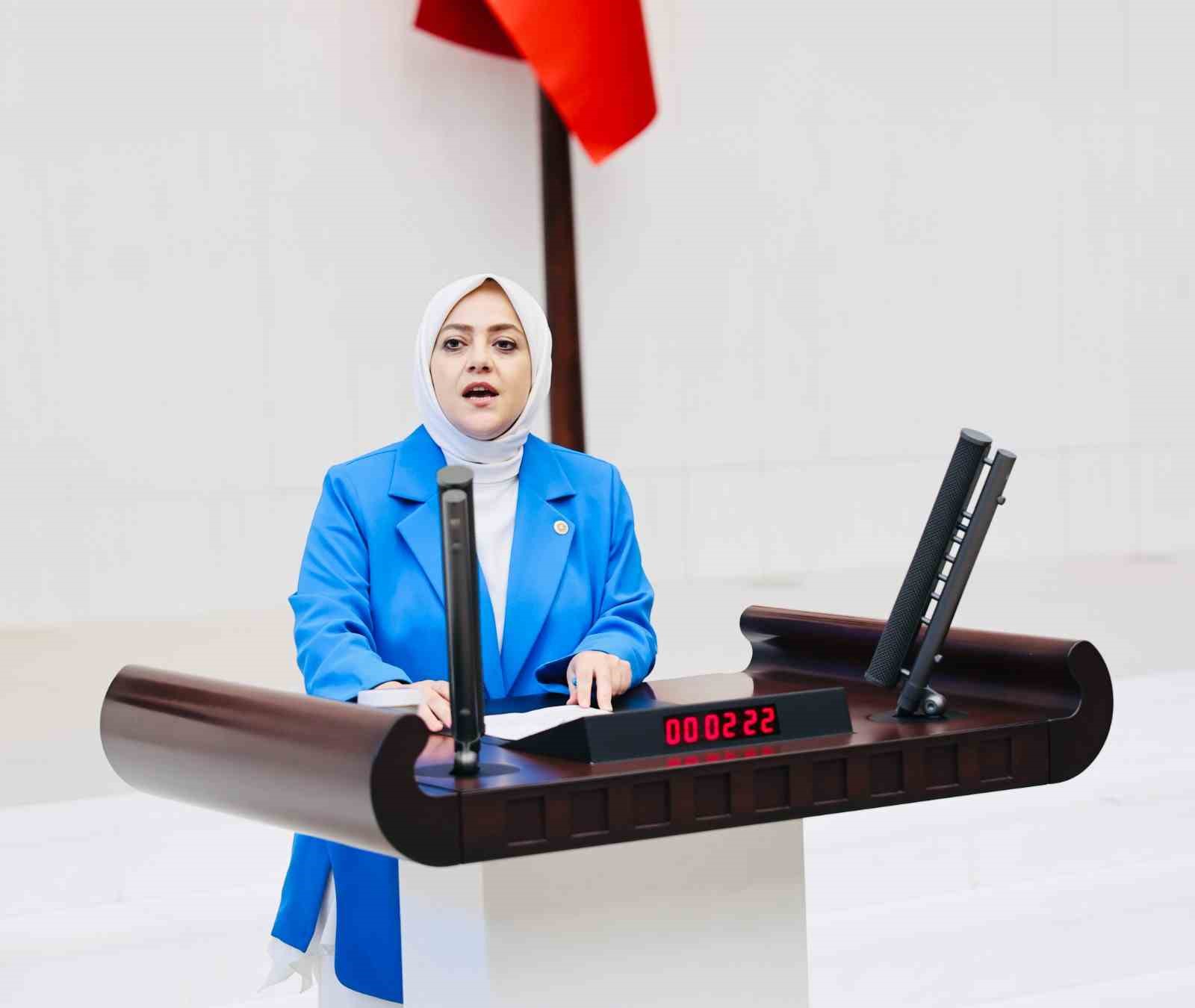 Milletvekili Ün; 