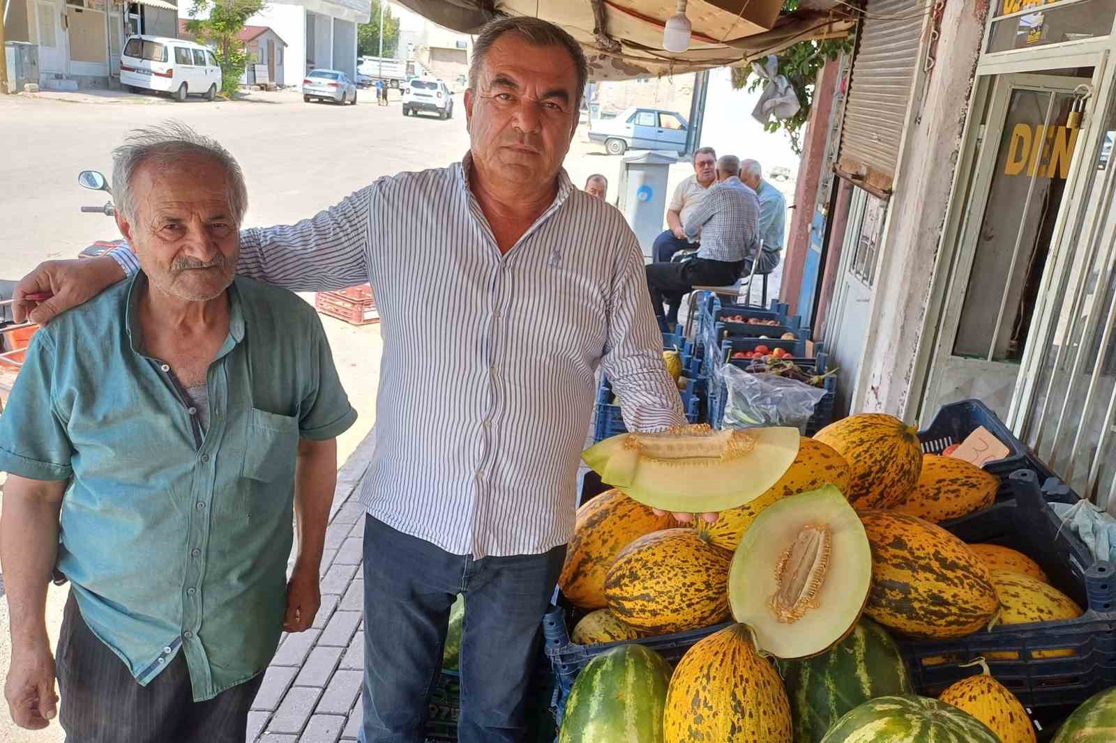 Araban Ovası’nda kavun hasadı başladı 