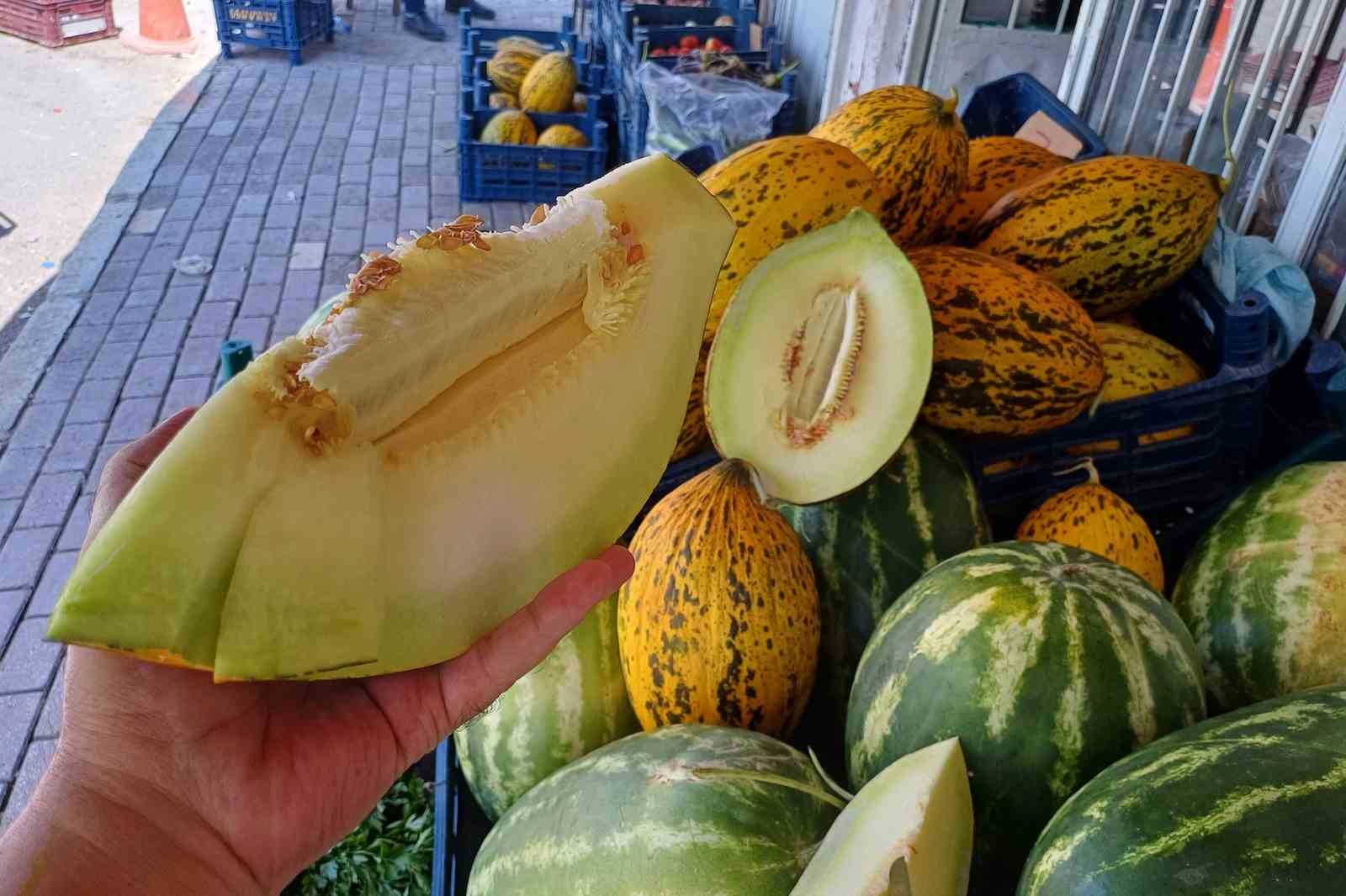 Araban Ovası’nda kavun hasadı başladı 