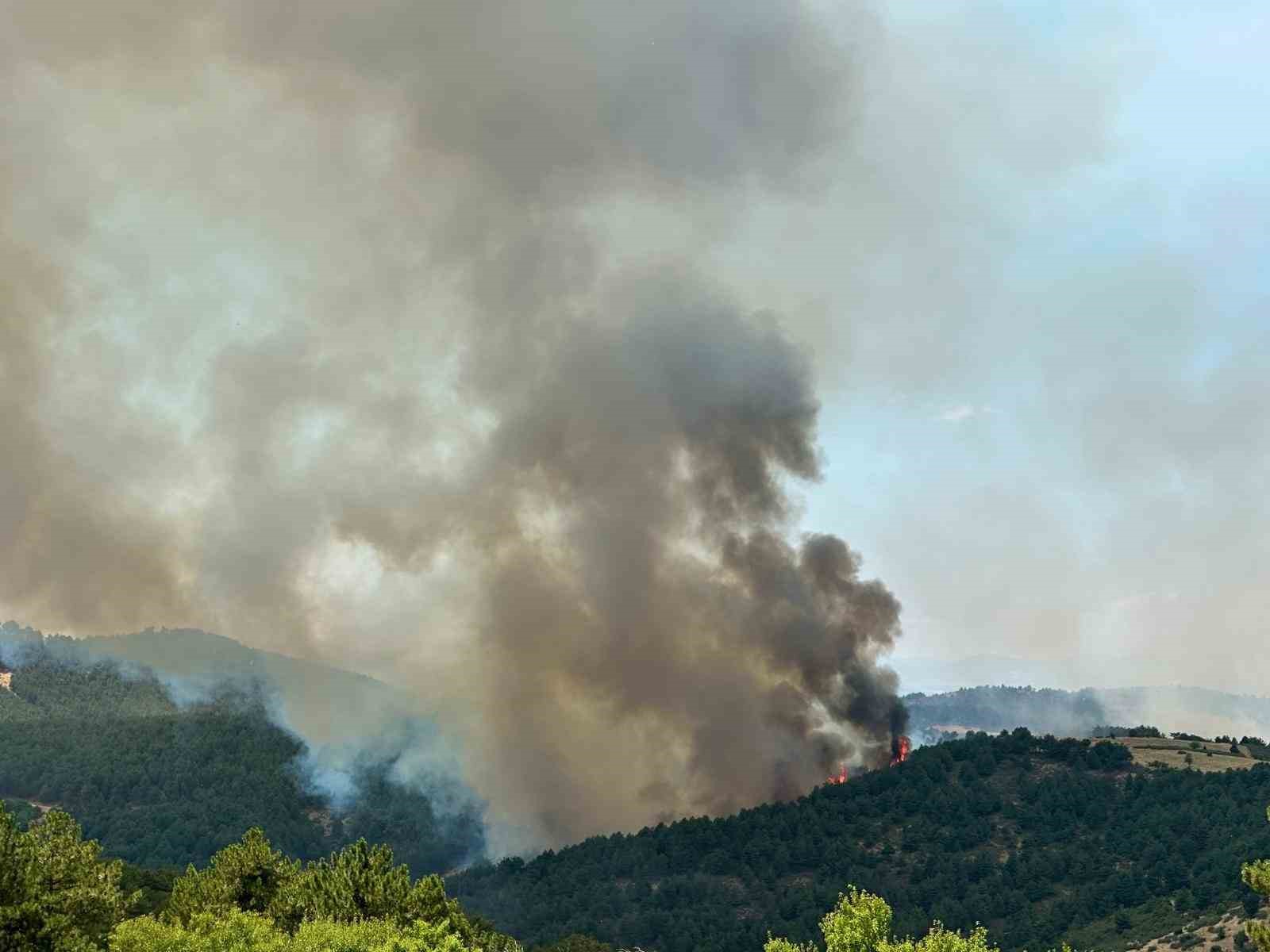 Uşak’ta ormanlık alanda çıkan yangına müdahale devam ediyor 