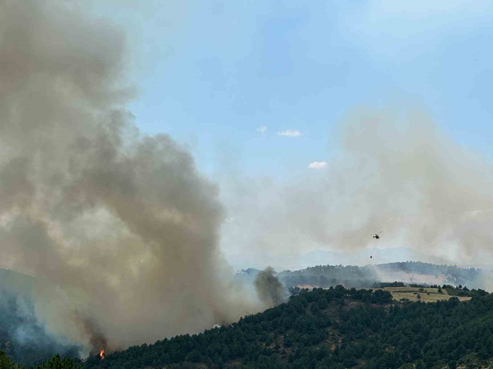 Uşak’ta ormanlık alanda çıkan yangına müdahale devam ediyor 