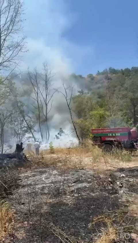 İznik’te orman yangını 