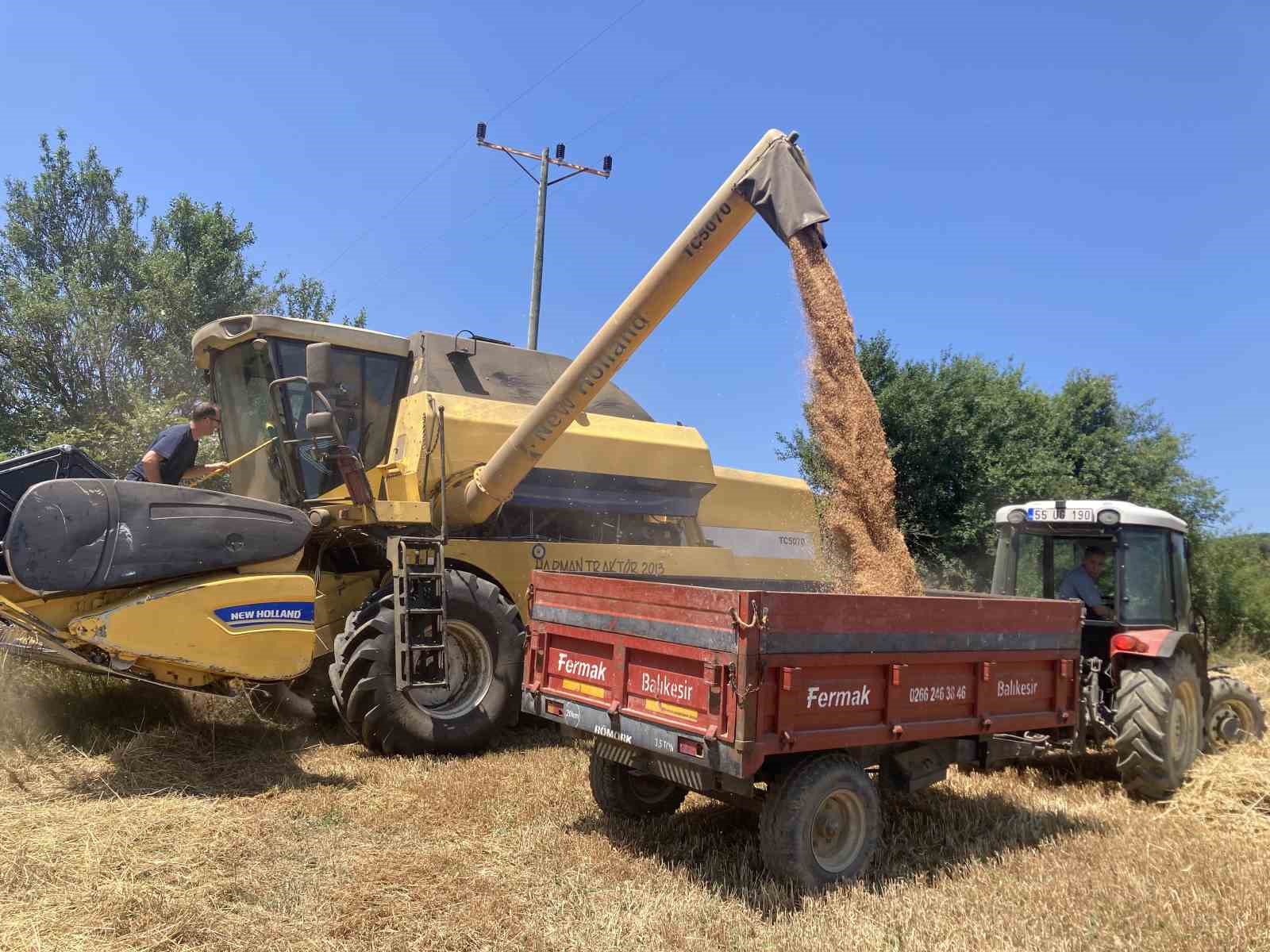 Kavak’ta ekin hasadı başladı 