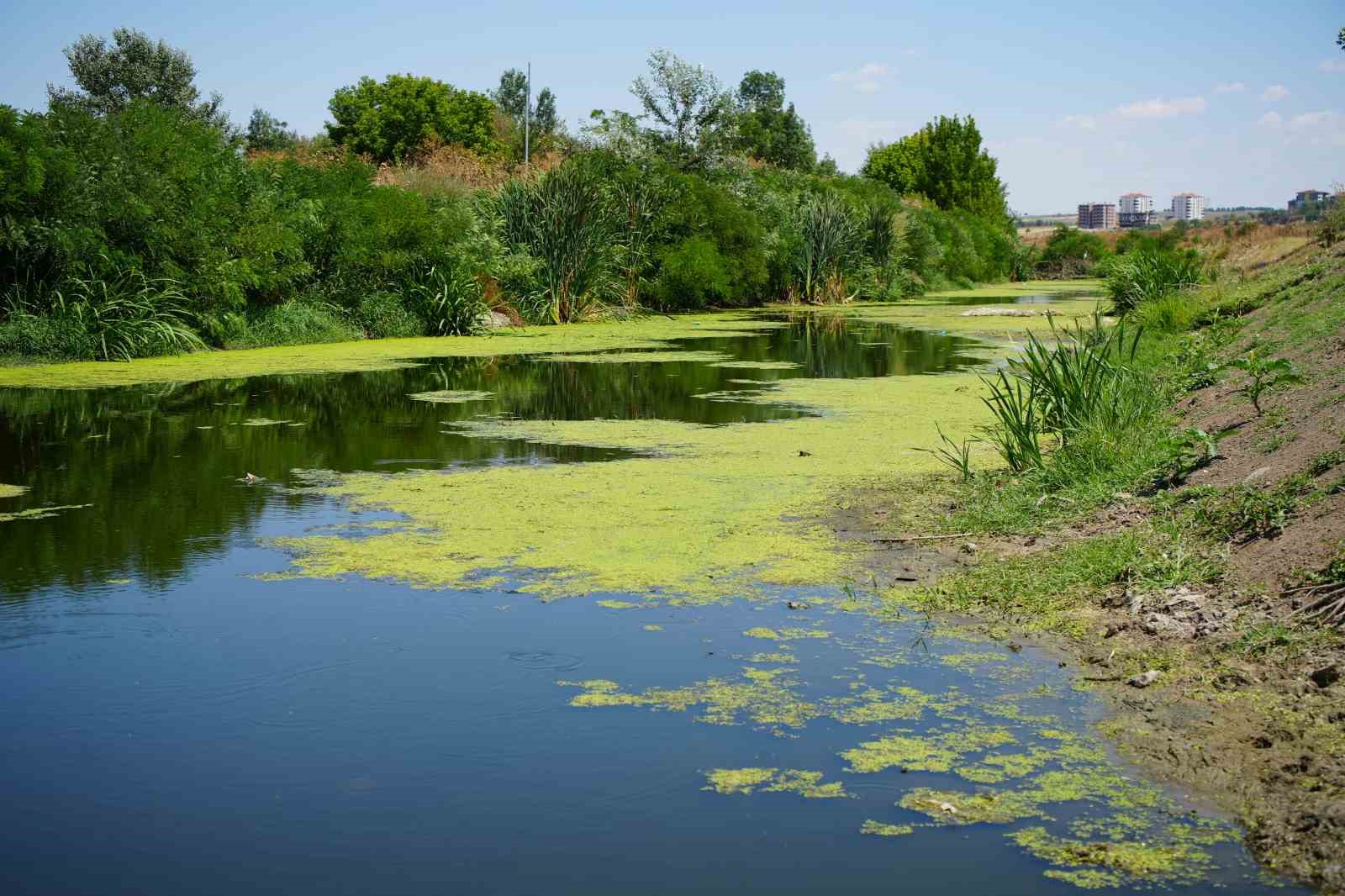 Tunca Nehri’nde su akışı durdu 