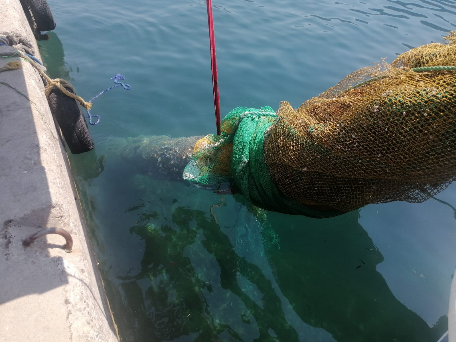 İzmir Karaburun’da balıkçı ağına denizaltı torpidosu takıldı 