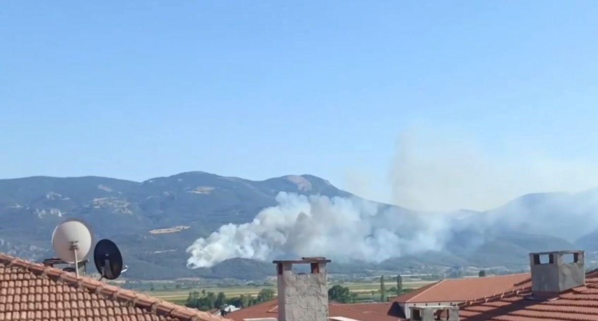 Sakarya’da orman yangını 