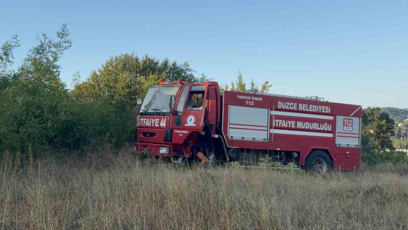 Anız yangını orman sıçradı: 10 dönüm küle döndü 