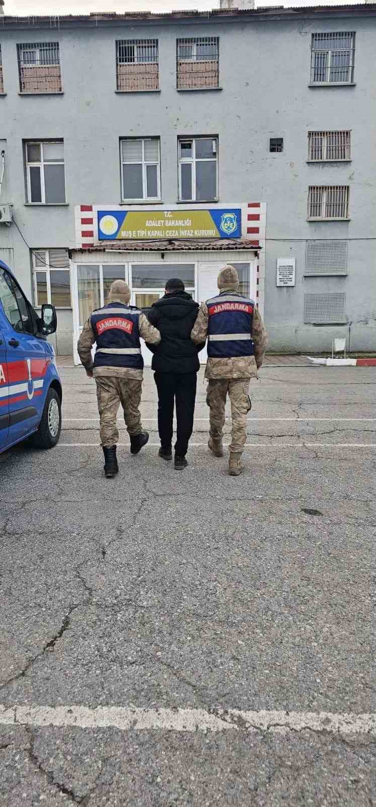 Muş’ta jandarmadan 