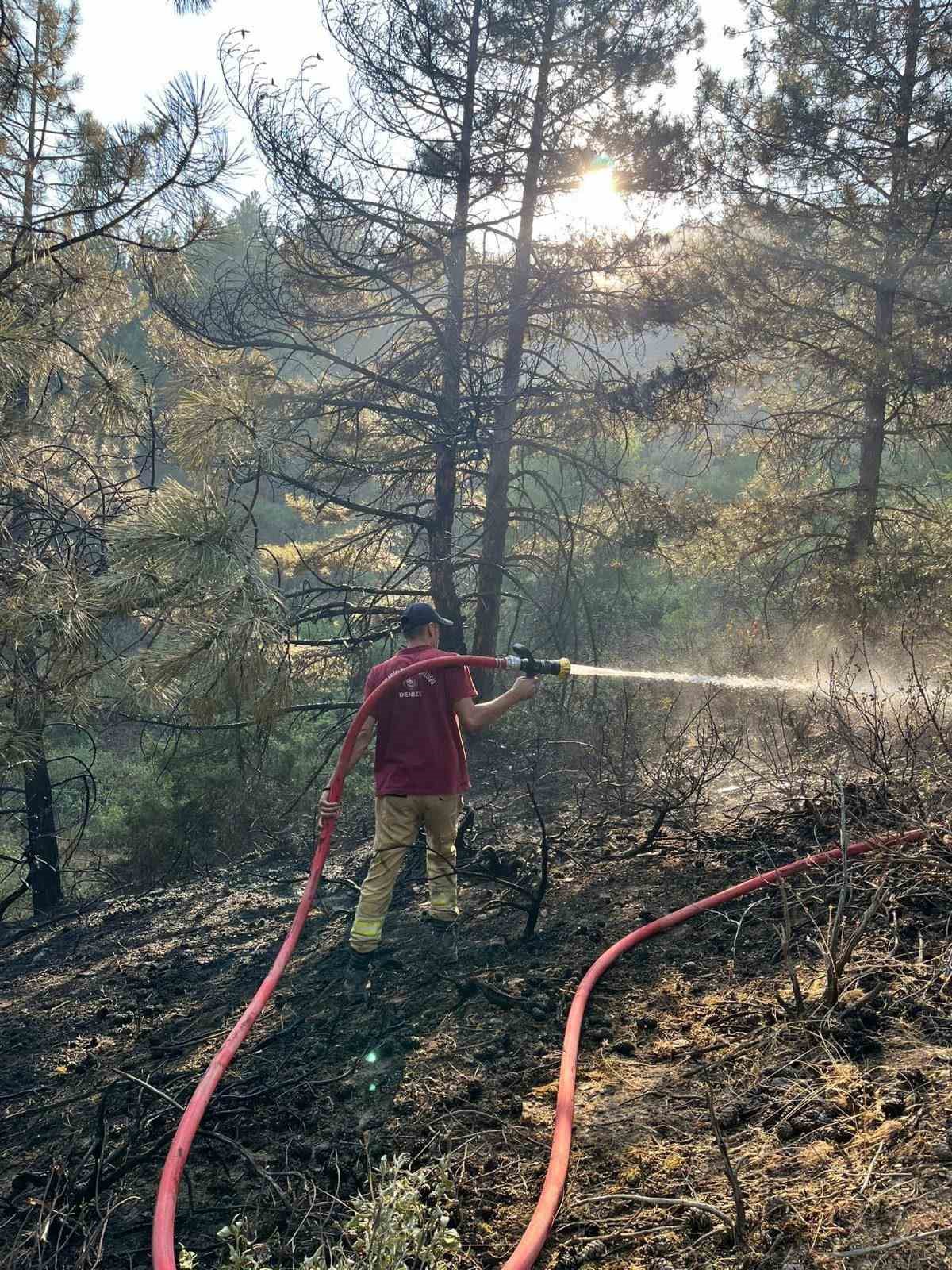 Uşak’taki orman yangını kısmen kontrol altına alındı 