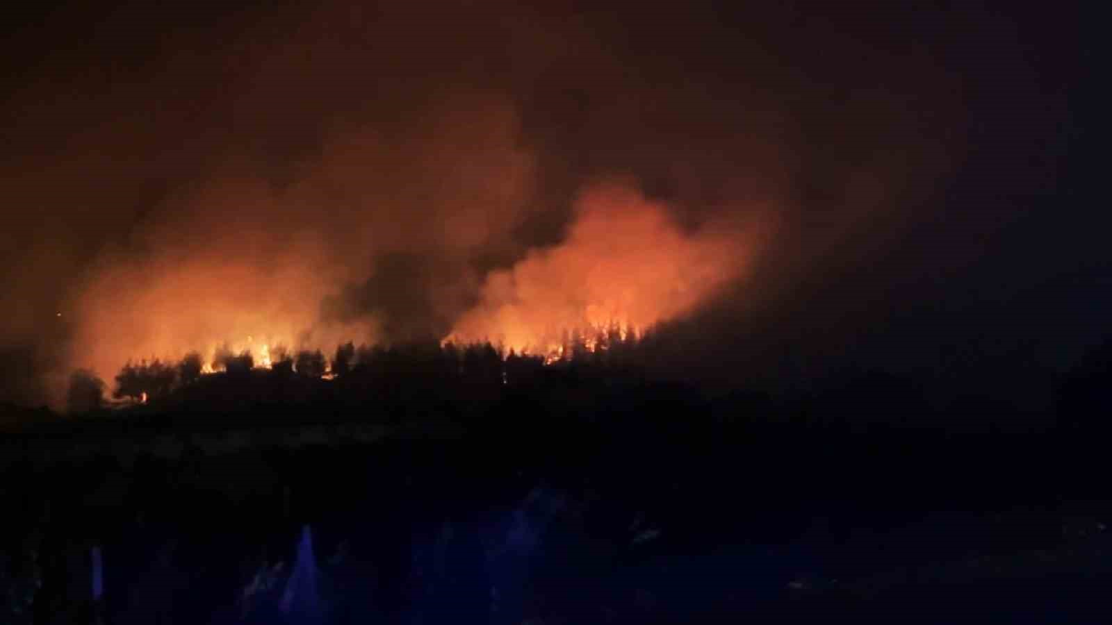 Sakarya Valisi Doğan: 