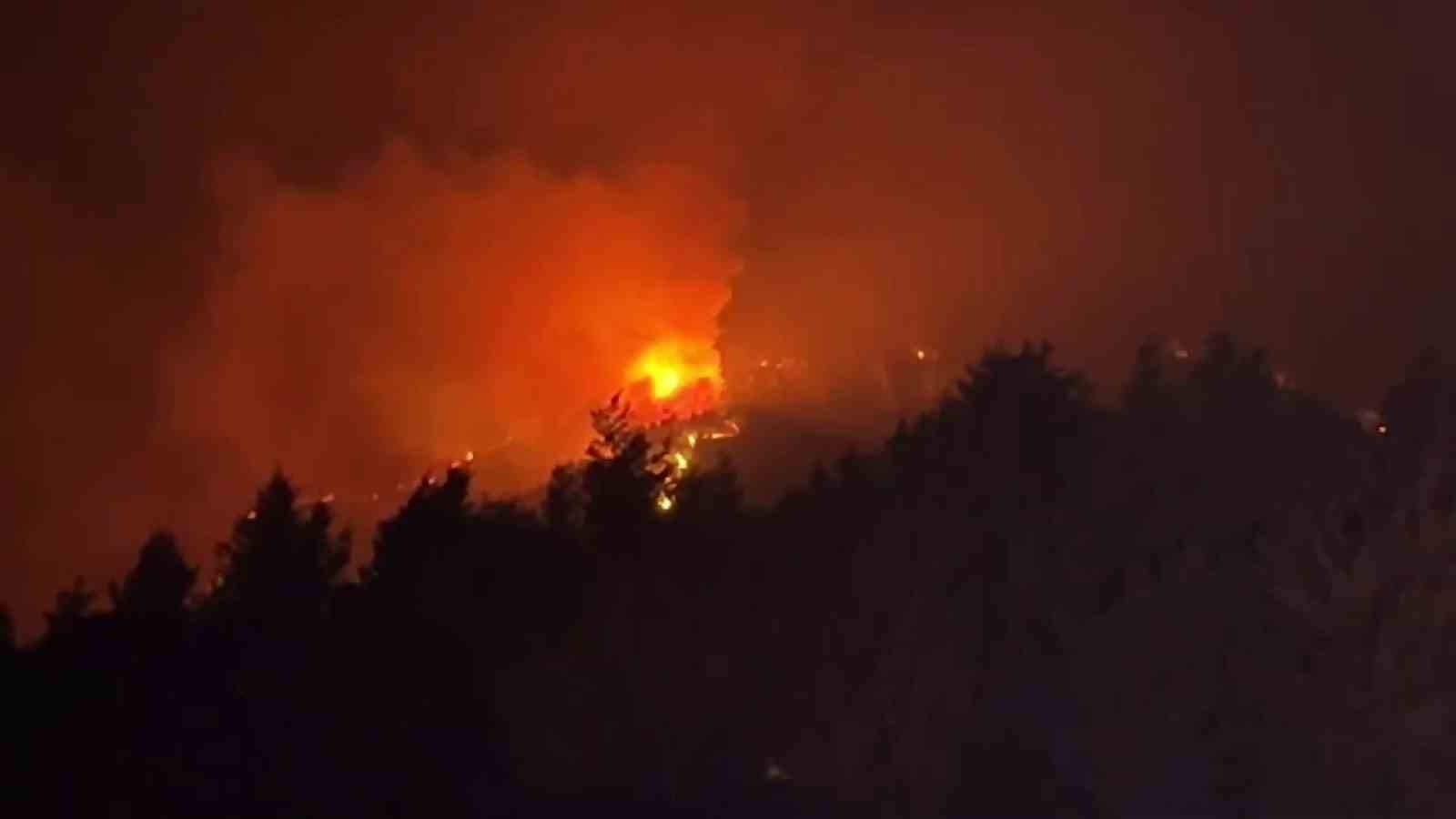 Sakarya Valisi Doğan: 