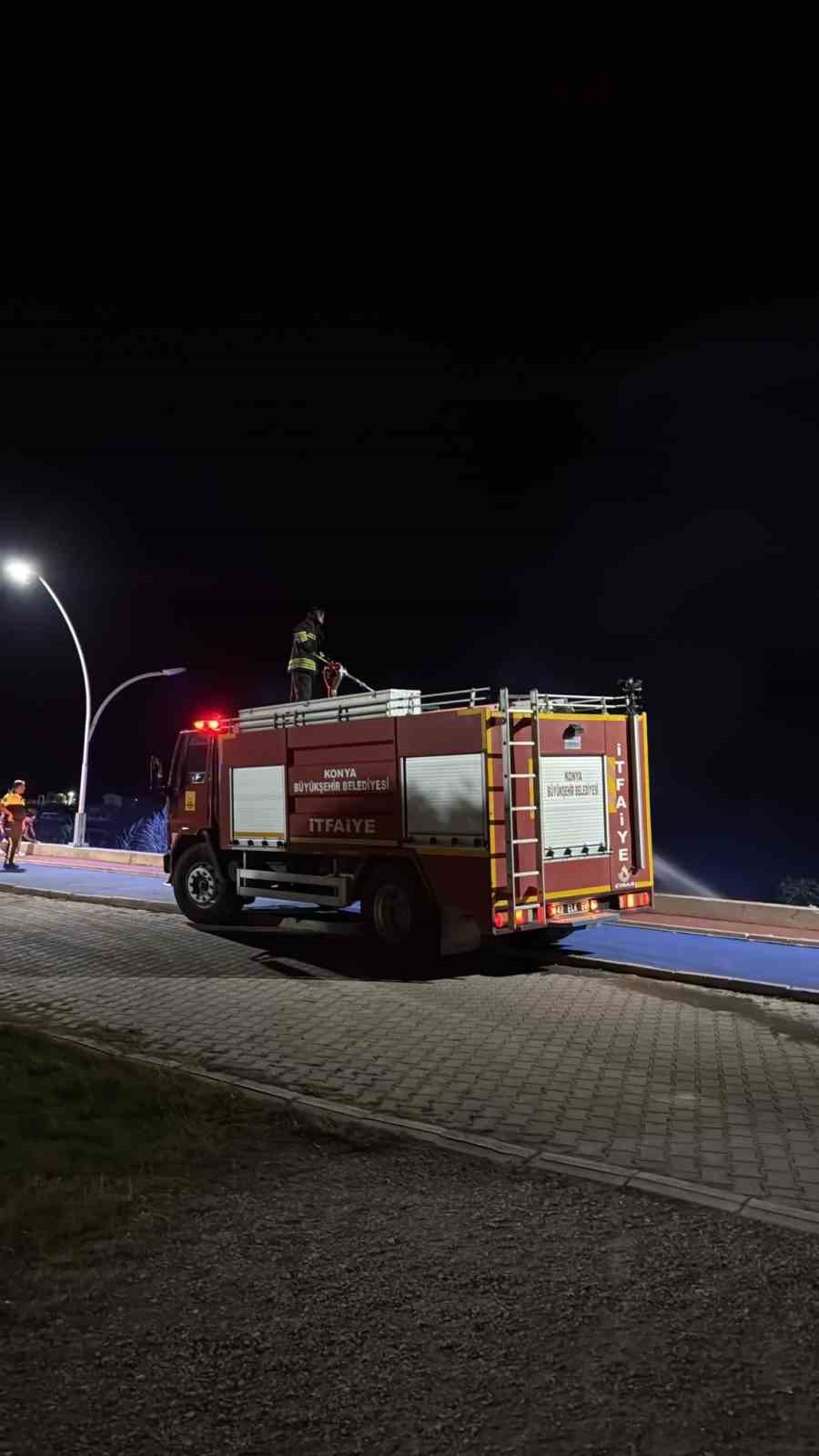 Beyşehir Gölü kenarında korkutan yangın 
