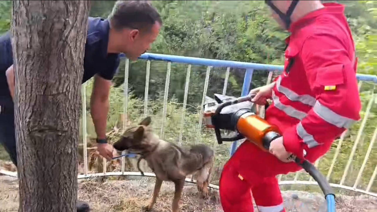 Demir korkuluklara sıkışan köpeği itfaiye kurtardı 