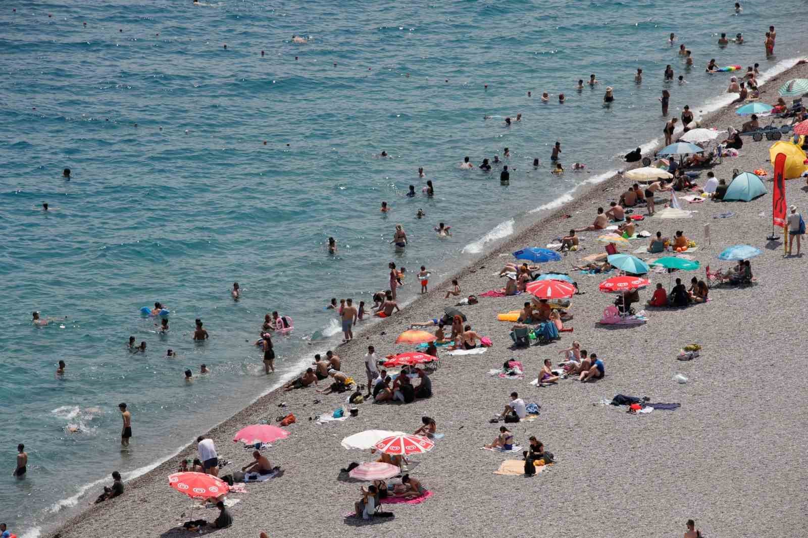 Uzman isim Caretta caretta ısırma vakalarının sebebini açıkladı 