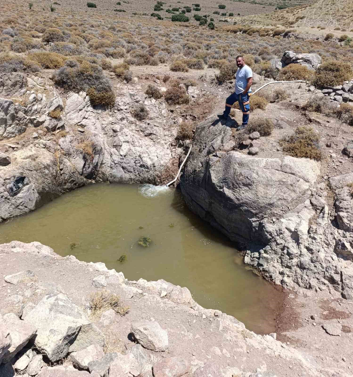 İzmir’de yaban hayvanları için tankerle su taşındı 