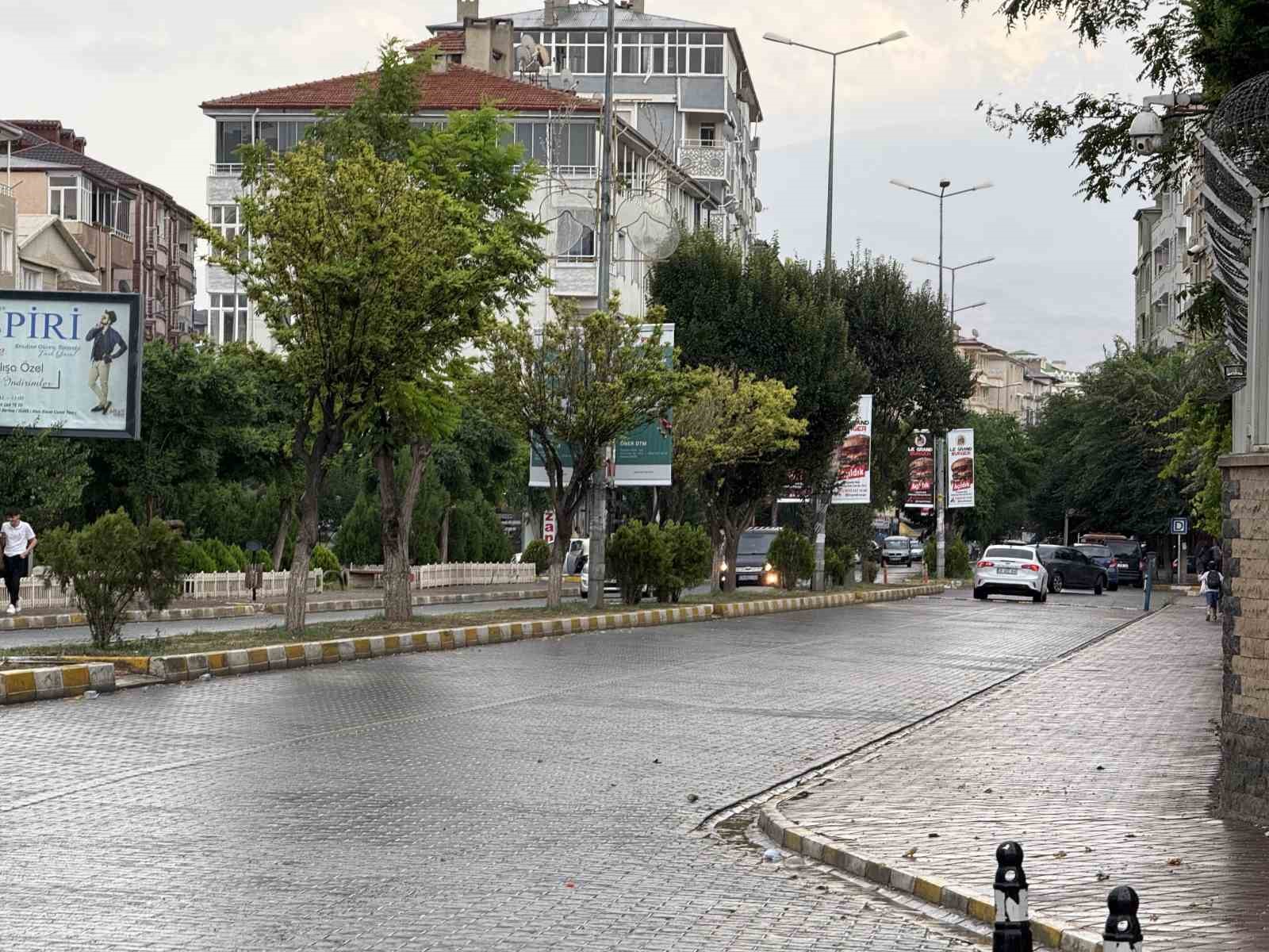 Iğdır’da kavurucu sıcakların ardından sağanak yağış etkili oldu 