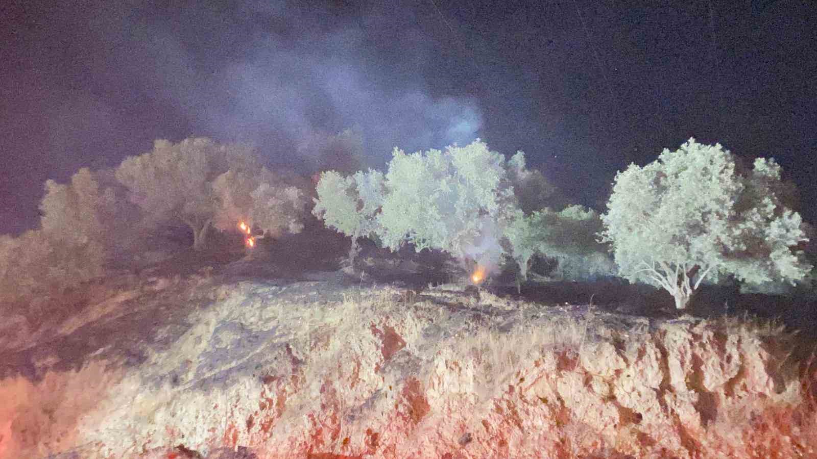 Zeytinlik alanda çıkan yangın ekiplerin erken müdahalesi ile büyümeden söndürüldü 