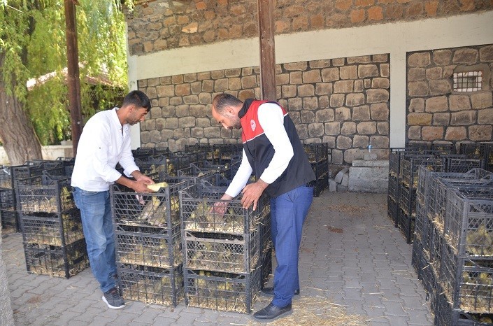 Bulanık’ta 