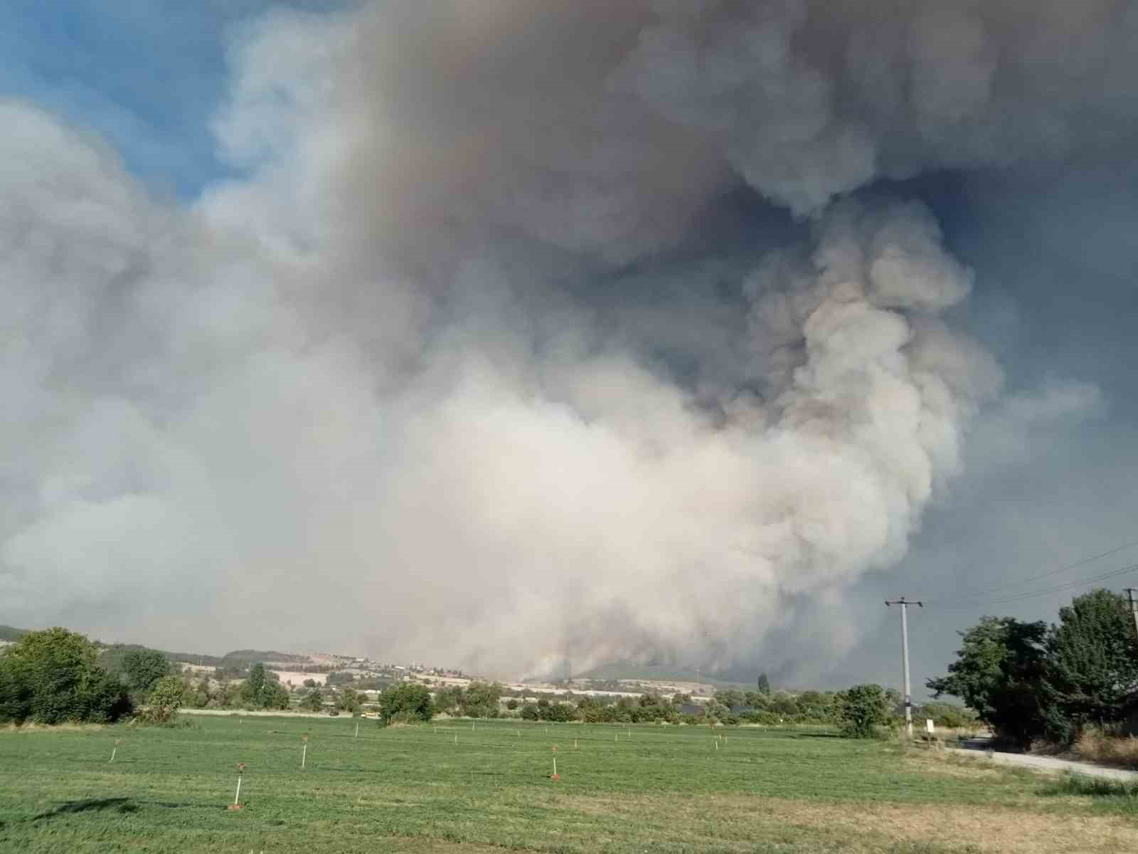 Bilecik’te yangın bölgesi havadan görüntülendi 