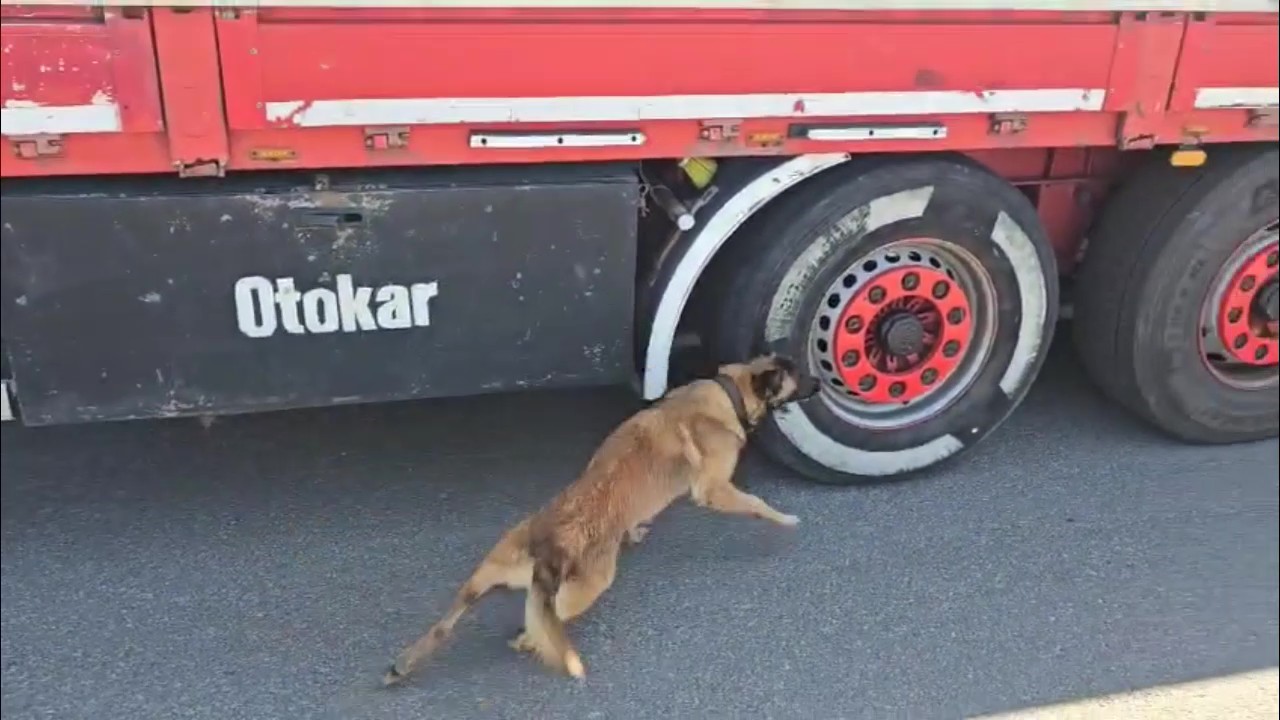 TEM Otoyolu’nda bir tırda 350 paket gümrük kaçağı sigara ele geçirildi 