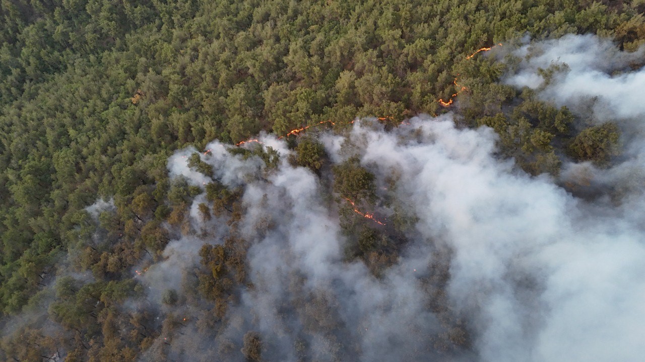 Karabük’te orman yangınına müdahale 6 saattir aralıksız sürüyor 