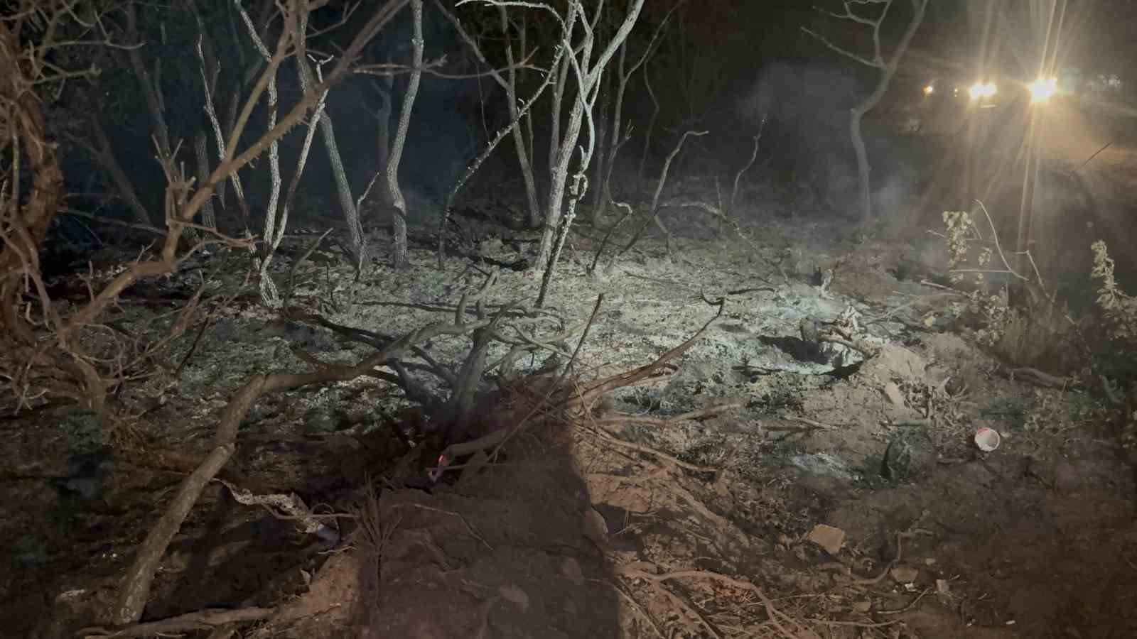 Gebze’de gece yarısı orman yangını: 7 dönüm alan kül oldu 