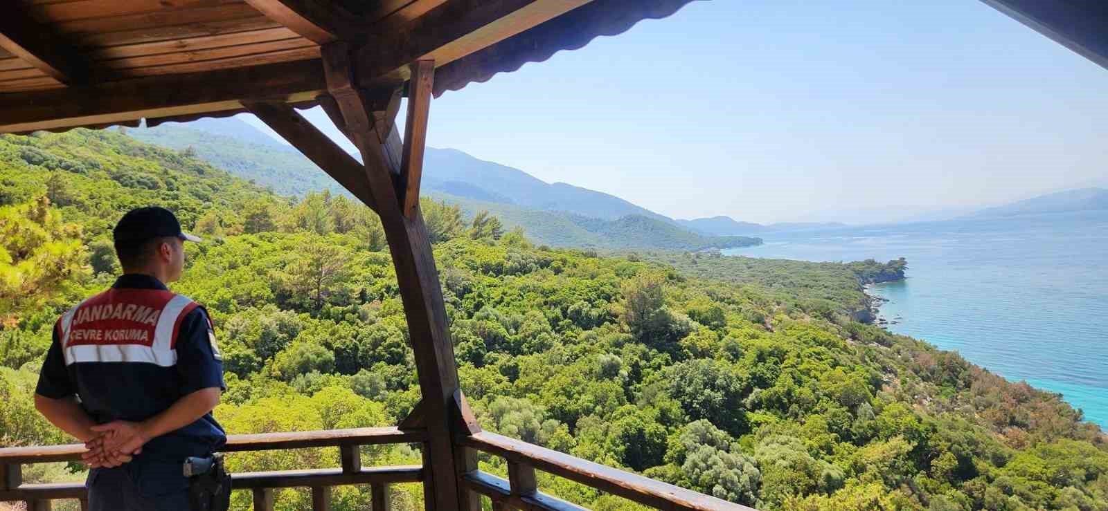 Jandarma ekipleri çevre ve orman yangınlarına karşı bilgilendirdi 